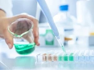 Cell culture