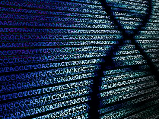 11 - Sequencing-1 11 - Sequencing-1