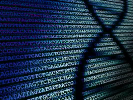 11 - Sequencing-3 11 - Sequencing-3