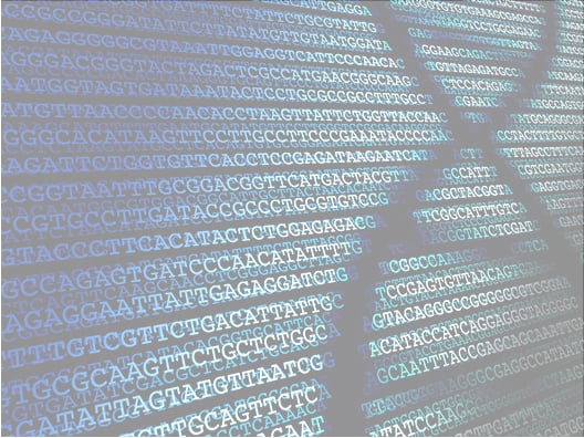 11f - Sequencing 11f - Sequencing