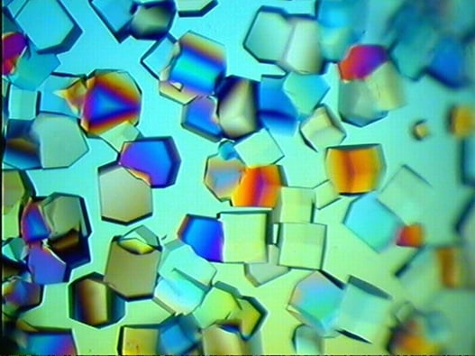 12 - Structure 12 - Structure