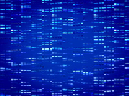 13.1 - Sequencage-ARN-Cible 13.1 - Sequencage-ARN-Cible