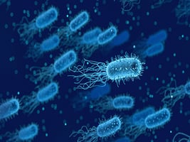 133 - Microbio-MIC 133 - Microbio-MIC