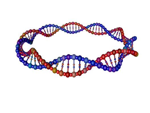 175 - ADN-Plasmidique