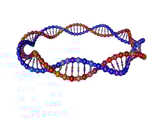 175 - ADN-Plasmidique 175 - ADN-Plasmidique