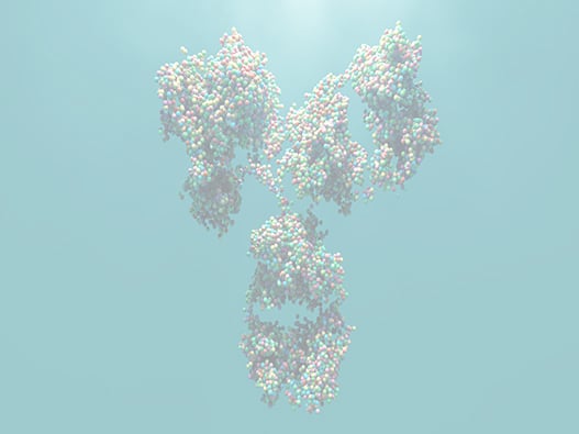176f - Anticorps-Recombinant 176f - Anticorps-Recombinant
