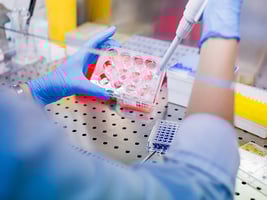 183 - Test-Culture-Cell 183 - Test-Culture-Cell