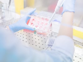 183f - Test-Culture-Cell 183f - Test-Culture-Cell