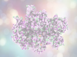 190f - Peptide-Recombinant 190f - Peptide-Recombinant