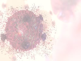 33.1f - TestViabilite 33.1f - TestViabilite