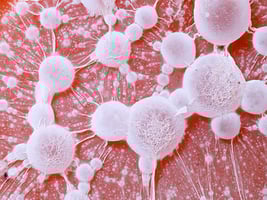 34.1 - AdhesionCellulaire-1 34.1 - AdhesionCellulaire-1