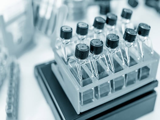 36.1 - Production-CellulesInsectes 36.1 - Production-CellulesInsectes