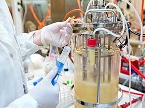 37.1 -Production-Par-Bacteries-1-1