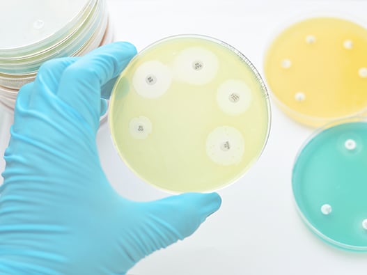 38f - Antibiotics 38f - Antibiotics
