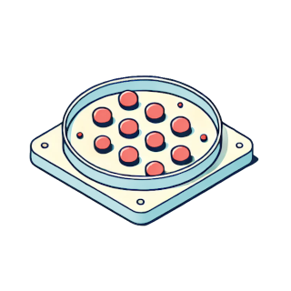 3D cell culture