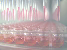 41f - Screening 41f - Screening
