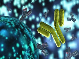 42 - Monoclonal Antibody 42 - Monoclonal Antibody