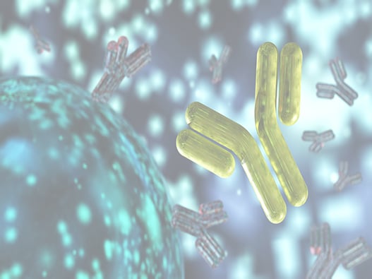 42f - Monoclonal Antibody 42f - Monoclonal Antibody