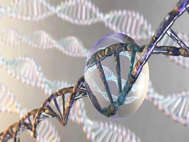 45.1 - VecteurMutagenese-1 45.1 - VecteurMutagenese-1