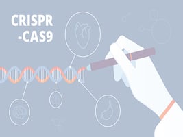 46.1f - CRISP-R 46.1f - CRISP-R