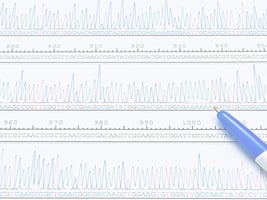 61f - PCR-Digital
