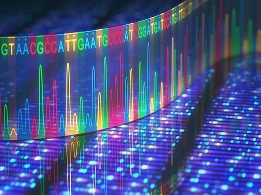 62 - Microarray-ADN 62 - Microarray-ADN