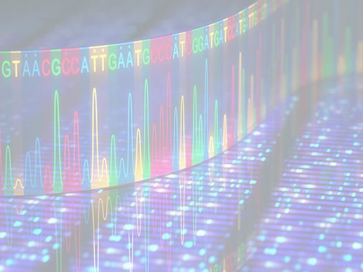 62f - Microarray-ADN 62f - Microarray-ADN