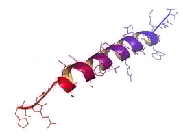 68 - Conjugaison-Peptide 68 - Conjugaison-Peptide