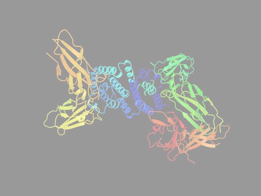 70f - Analyse-Ubiquitination 70f - Analyse-Ubiquitination
