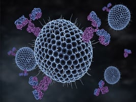 71 - Anticorps-Antigene-min 71 - Anticorps-Antigene-min
