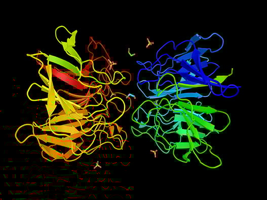 72- Protein Protein interaction 72- Protein Protein interaction