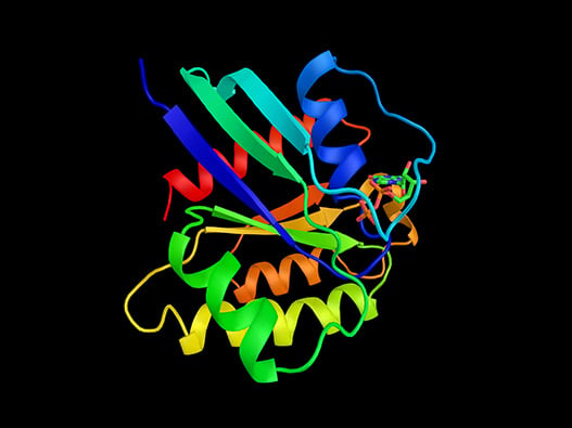 73 - Interaction-Proteine-Molecule