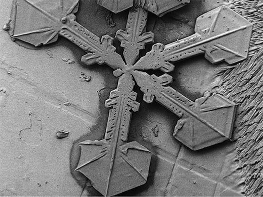 7a - Microscopy 7a - Microscopy