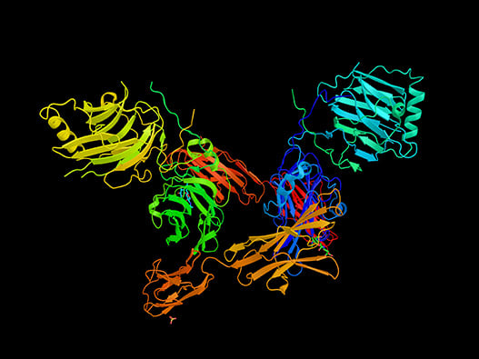 91 - Bioinfo-Proteomique 91 - Bioinfo-Proteomique