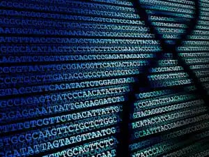 Absolute quantification DNA