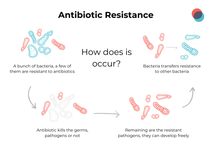 Antibiotic resistance 680x482