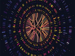 Bioinformatics 300