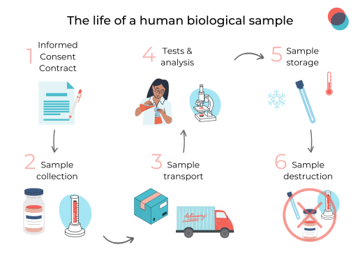 The different steps of sample sourcing