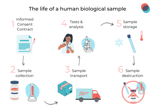 Biological sample 513