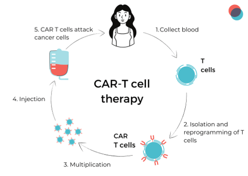 a drawing describing CAR T therapy