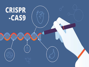 CRISP-R 300x225
