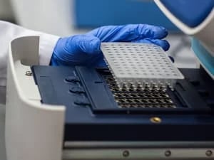 GENE EXPRESSION 