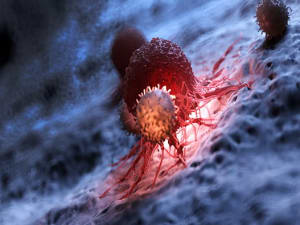 IMMUNE RESPONSE