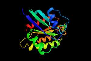 INTERACTION PROTEIN MOLECULE 300X225