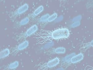 MICROBIOMIC 300X225