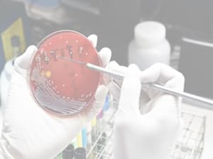 MICROBIOTESTEFFICACITY 300X225