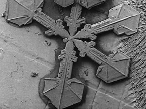 MICROSCOPY 300X225