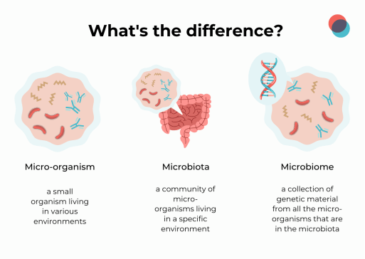 Microbiota EN 513