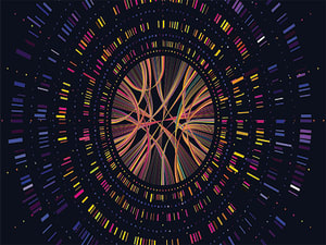NGS 300X225-1