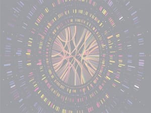 NGS 300x225